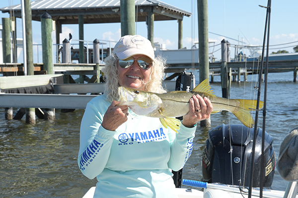 Snook are fun to fish for because they are strong and fight hard.