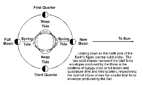 Yamaha-Boaters-LogVol13No20Tidesimage2.jpg Tide charts are based on astronomical tide calculations, which only consider the position of the moon and the sun in relation to Earth.