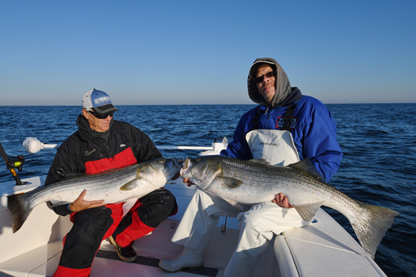 Migration Time: Jigging Late Fall Stripers - The Fisherman