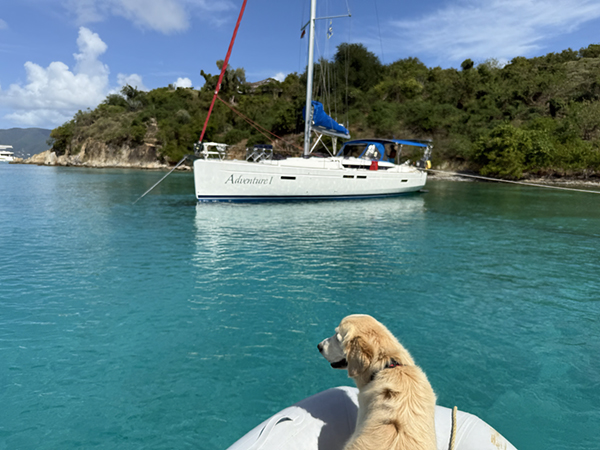 Yamaha-Boaters-Log-24-2026Vol14No24PirateDogpage2.jpg Pirate has become the heart of Roger and Tama Walker's boating adventures. Whether she’s swimming in crystal-clear Caribbean waters, greeting visitors at the dock or standing watch from the bow, she rarely misses a chance to be part of the action.