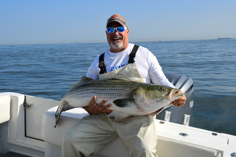 Helping The Striped Bass Fishery Through Satellite Tagging