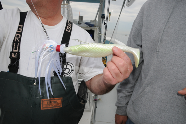 Late Season Striper Tactics - Yamaha Outboards