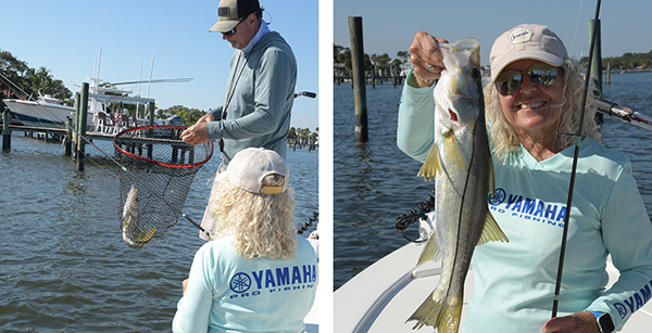 There are four subspecies of snook in Florida waters. The Cuban snook has become more prevalent over the last few years.