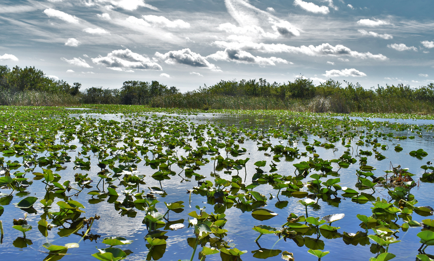 If your Florida wintertime boating aspirations involve more freshwater than salt, check out Lake Okeechobee.