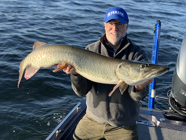 Fall-spawning forage species like ciscoes and whitefish move shallow in late fall. Big predators like muskies follow the bait, making this more successful for anglers.