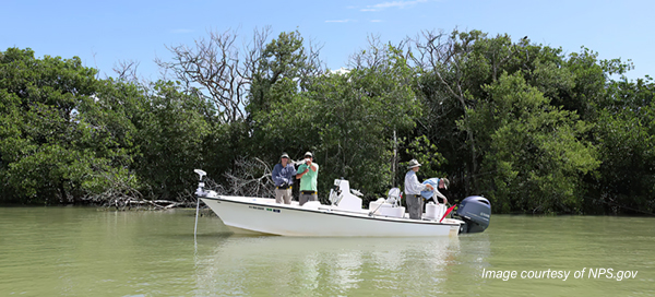 Yamaha-in-Everglades-credit-NPS-gov.jpg