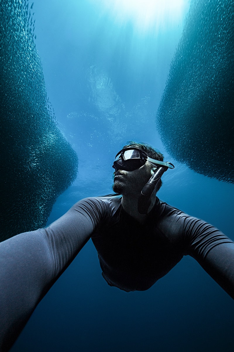 Man swimming with school of fish