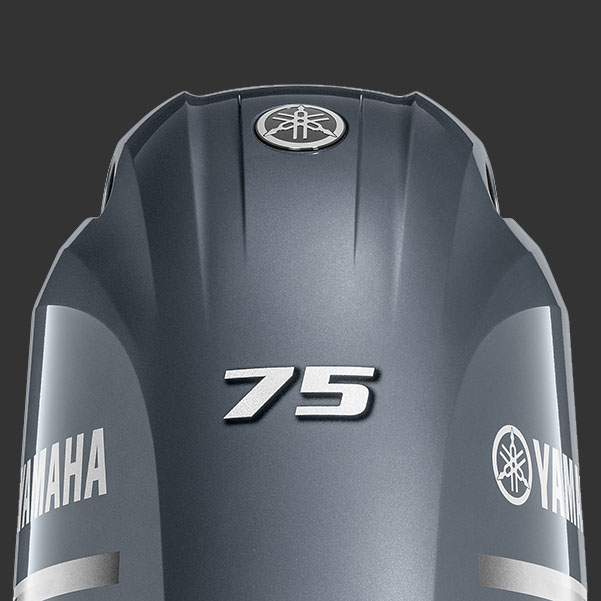 F115_17