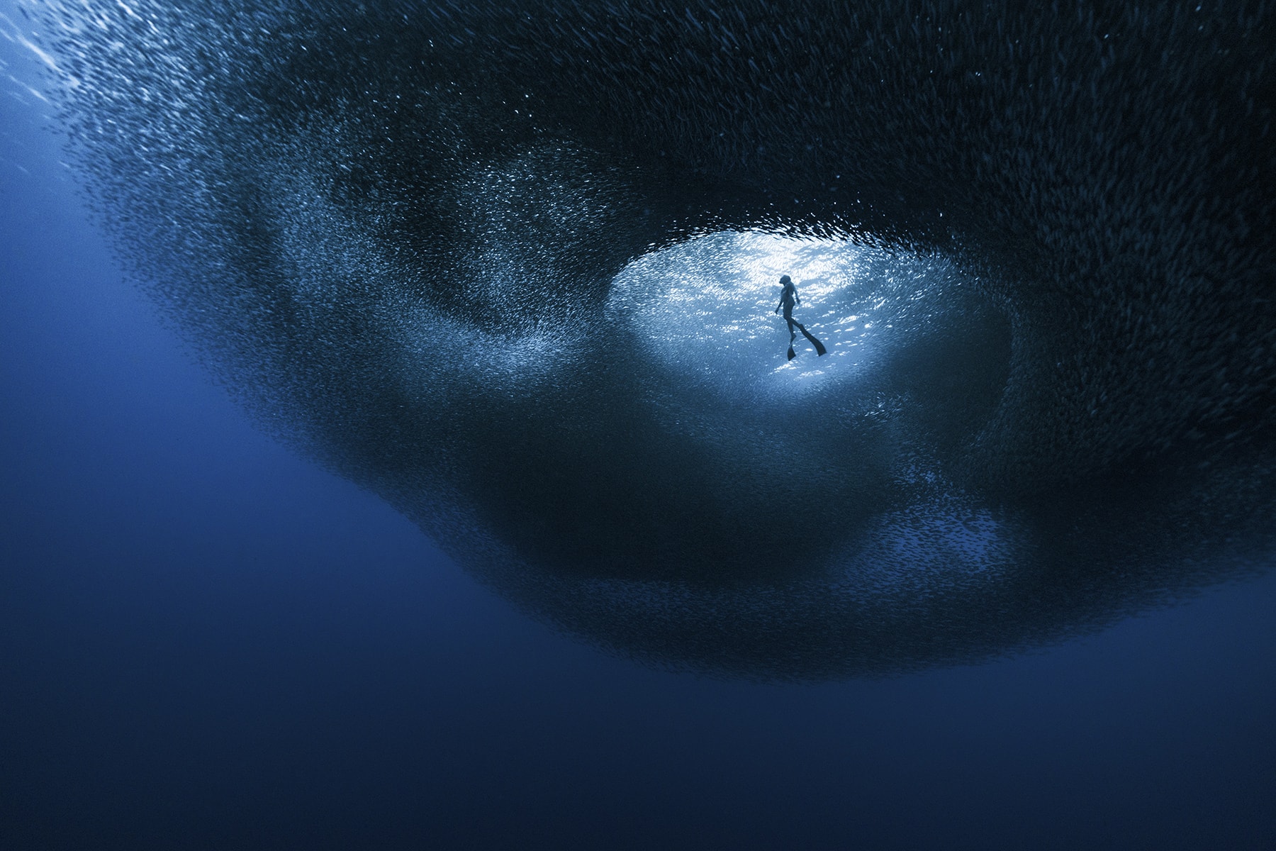 Woman swimming in school of fish