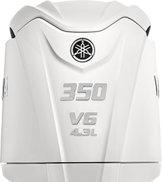 Yamaha 4.3L V6 Offshore F350 outboard.
