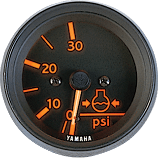 Pro Series Water Pressure Meter product image