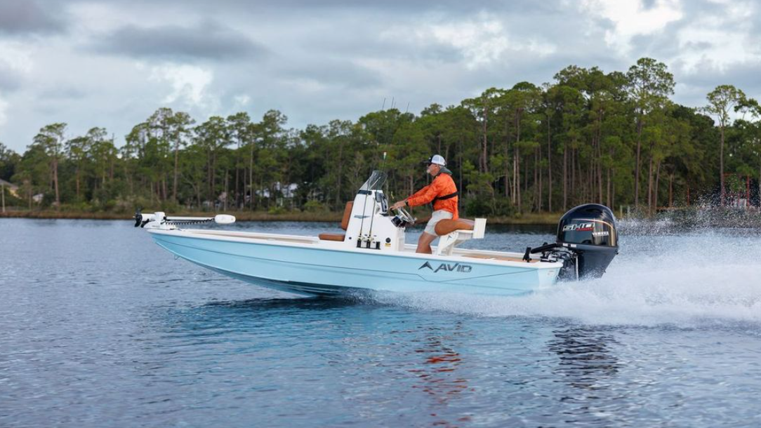 Avid Boats - Avid 19 FSX