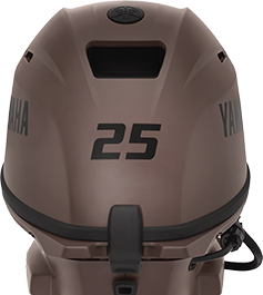 Yamaha F25 outboard.