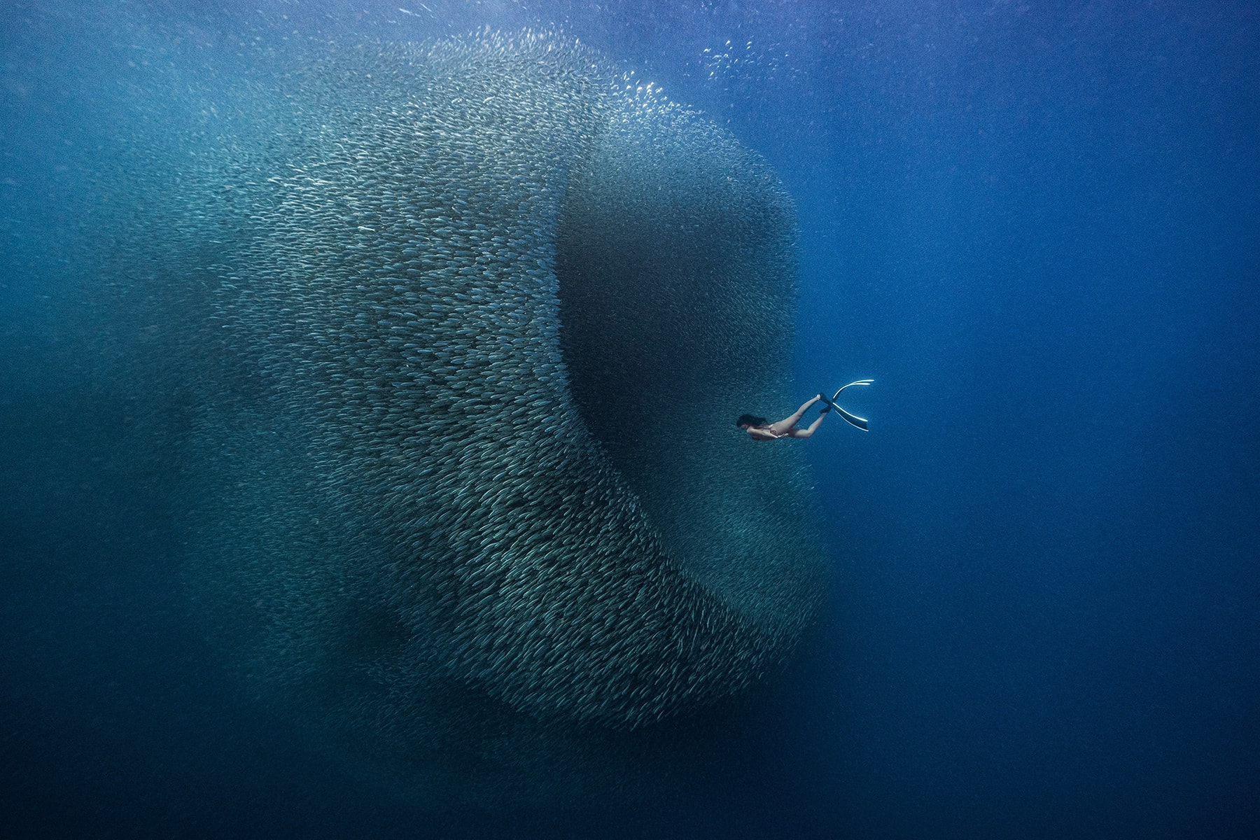 Woman swimming into school of fish